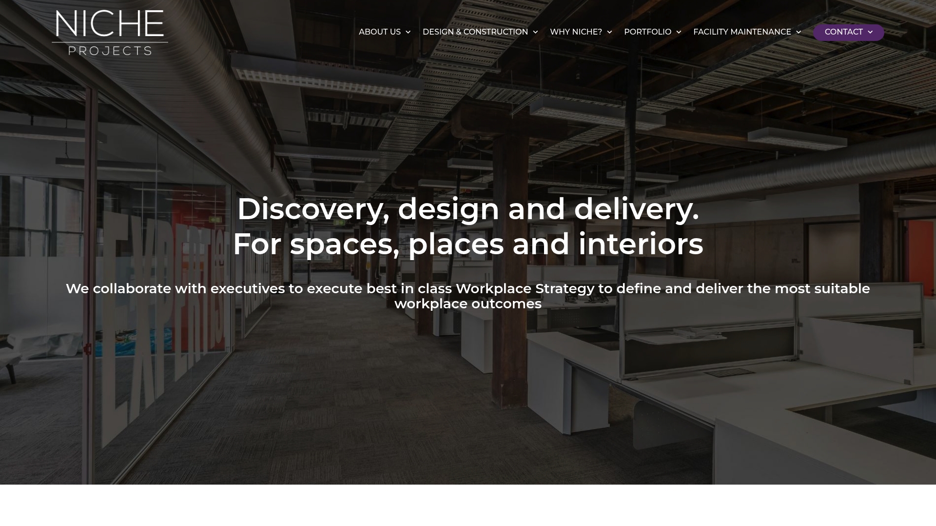 Nicheprojects