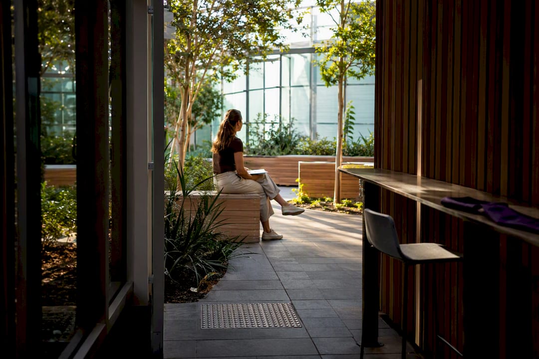 Planted outdoor breakout area beside office