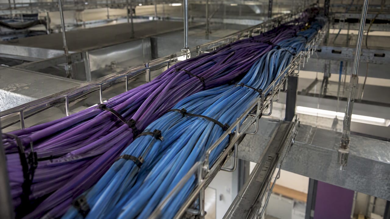Ethernet cables bundled together in a tray